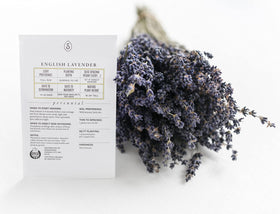 Sereniseed basil seeds Genovese pack highlights fresh, aromatic herbs for flavorful cooking