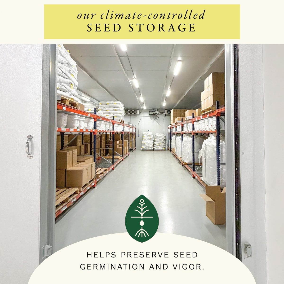 Sereniseed non-GMO open-pollinated seeds support diverse, reliable offspring.