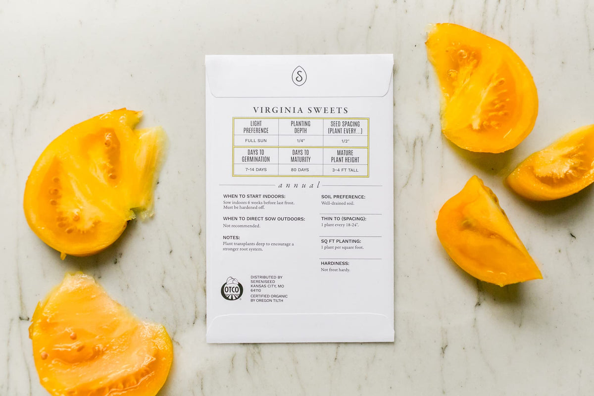 Sereniseed Green Zebra tomato seeds for zesty salads and salsas