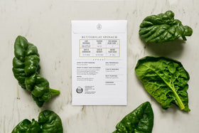 Sereniseed leafy greens collection varieties label close-up for diverse salad options