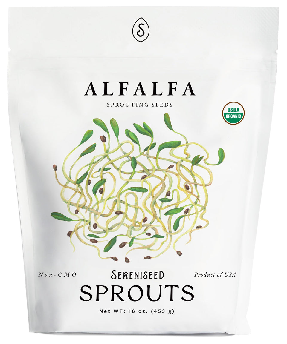 Sereniseed Organic Alfalfa Sprout Seeds 16 oz, ideal for convenient home sprouting and fresh nutrition.