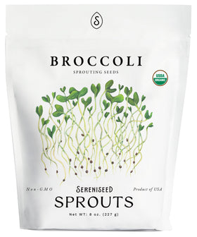 Sereniseed Organic broccoli sprout seeds bag for home sprouting and fresh microgreens.