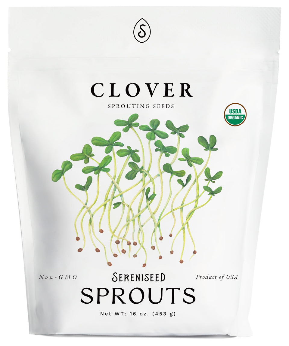 Sereniseed Organic Clover Sprout Seeds in a resealable bag, ready for home sprouting.