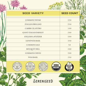 Sereniseed parsley seeds Giant Italian pack for bright, flat-leaf herbs