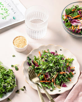 Sereniseed sprouting seed blend featuring alfalfa, radish, broccoli, and clover for microgreens.