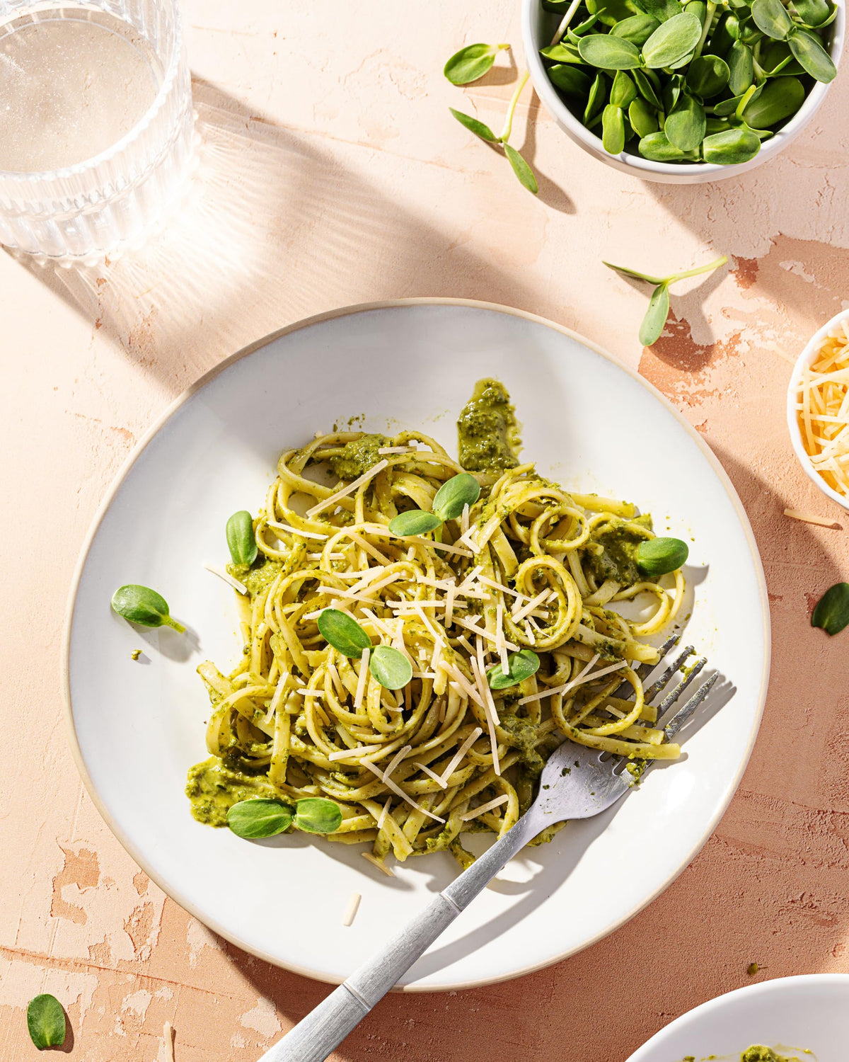 Sereniseed sunflower sprouts in a bowl, perfect for adding crunch to salads and wraps.