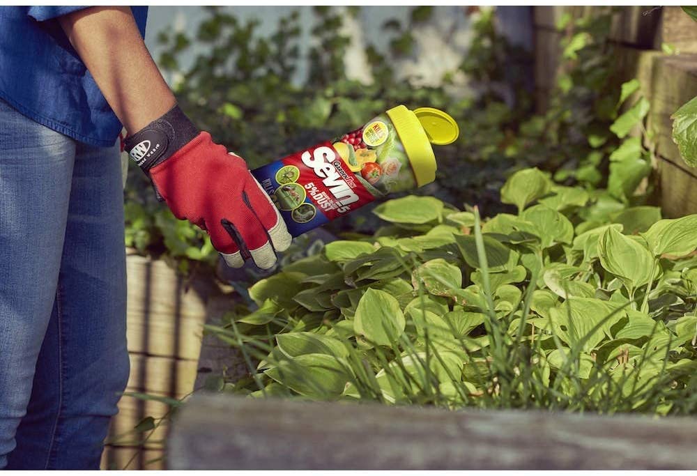 Leaf with Sevin dust demonstrates leaf pest protection.