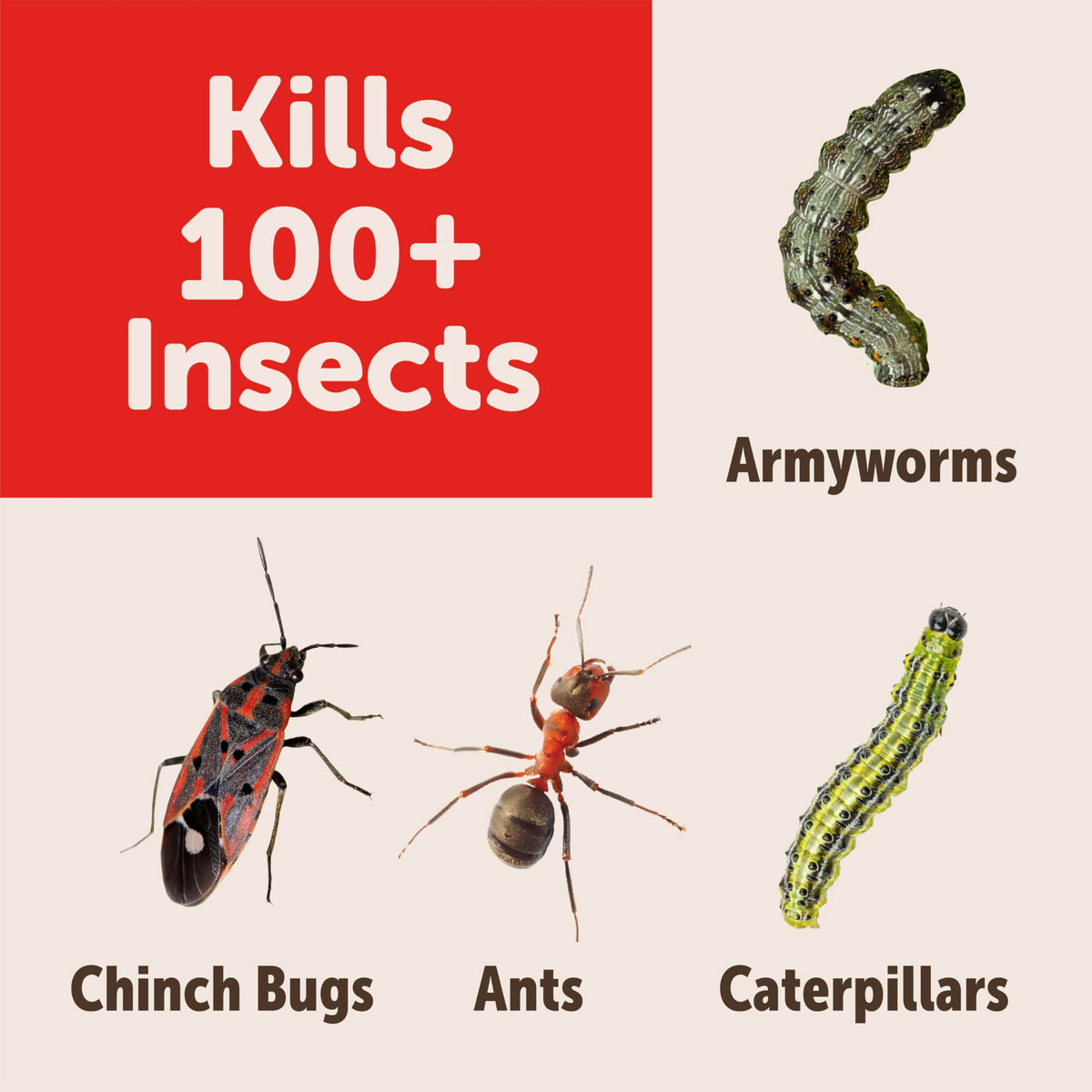 Sevin granules reach pests above and below soil surfaces.