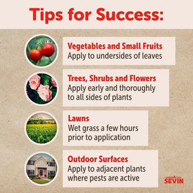Ants and other pests tackled with Sevin Ready-to-Use