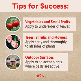 Sevin Insect Killer Dust protects vegetables in the garden from common pests
