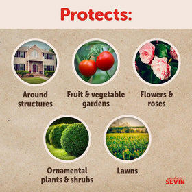 Sevin Ready-to-Use protects vegetables and fruit crops from pests