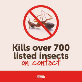 Curb Japanese beetles on roses using Sevin Ready-to-Use