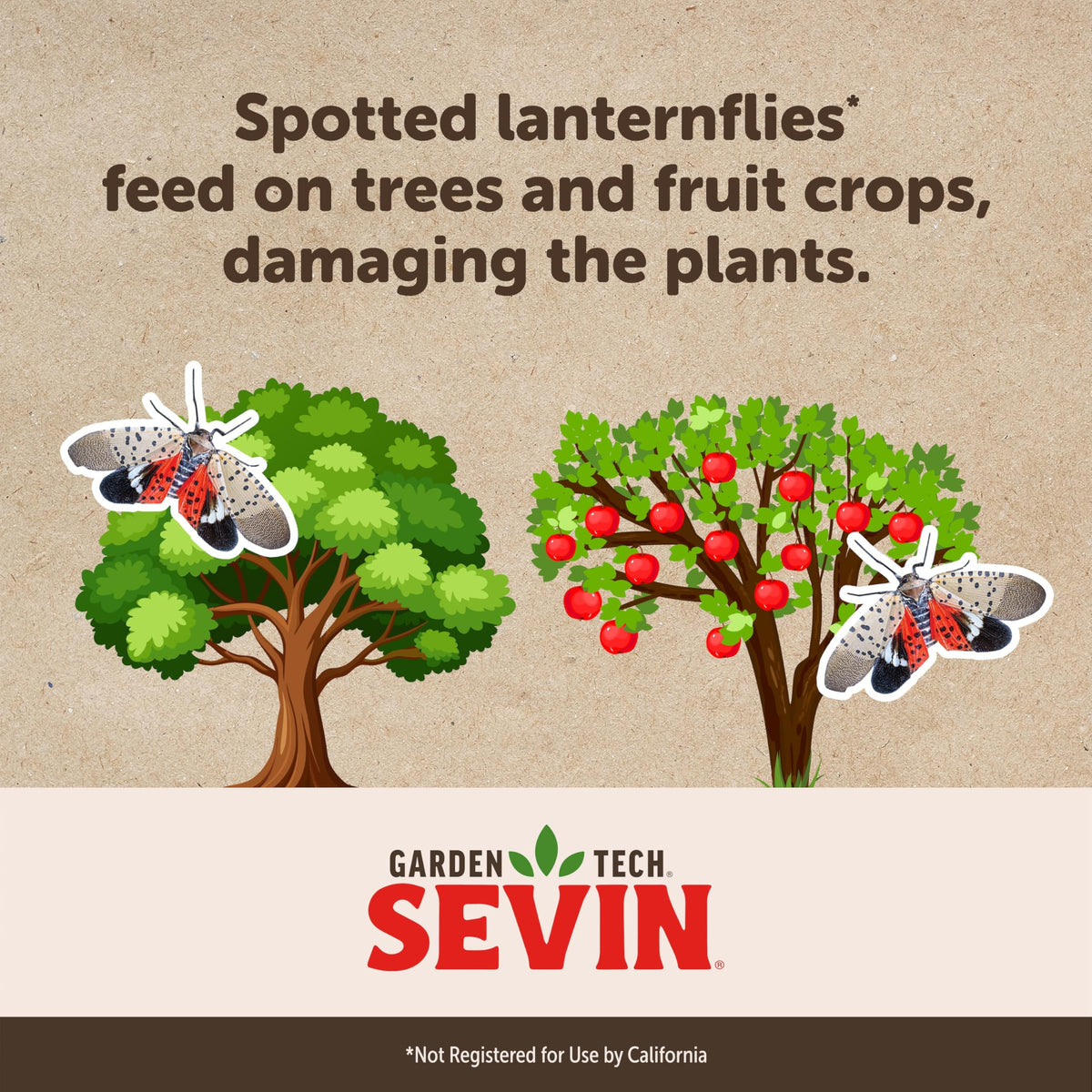 Long-lasting outdoor defense from Sevin for up to three months.