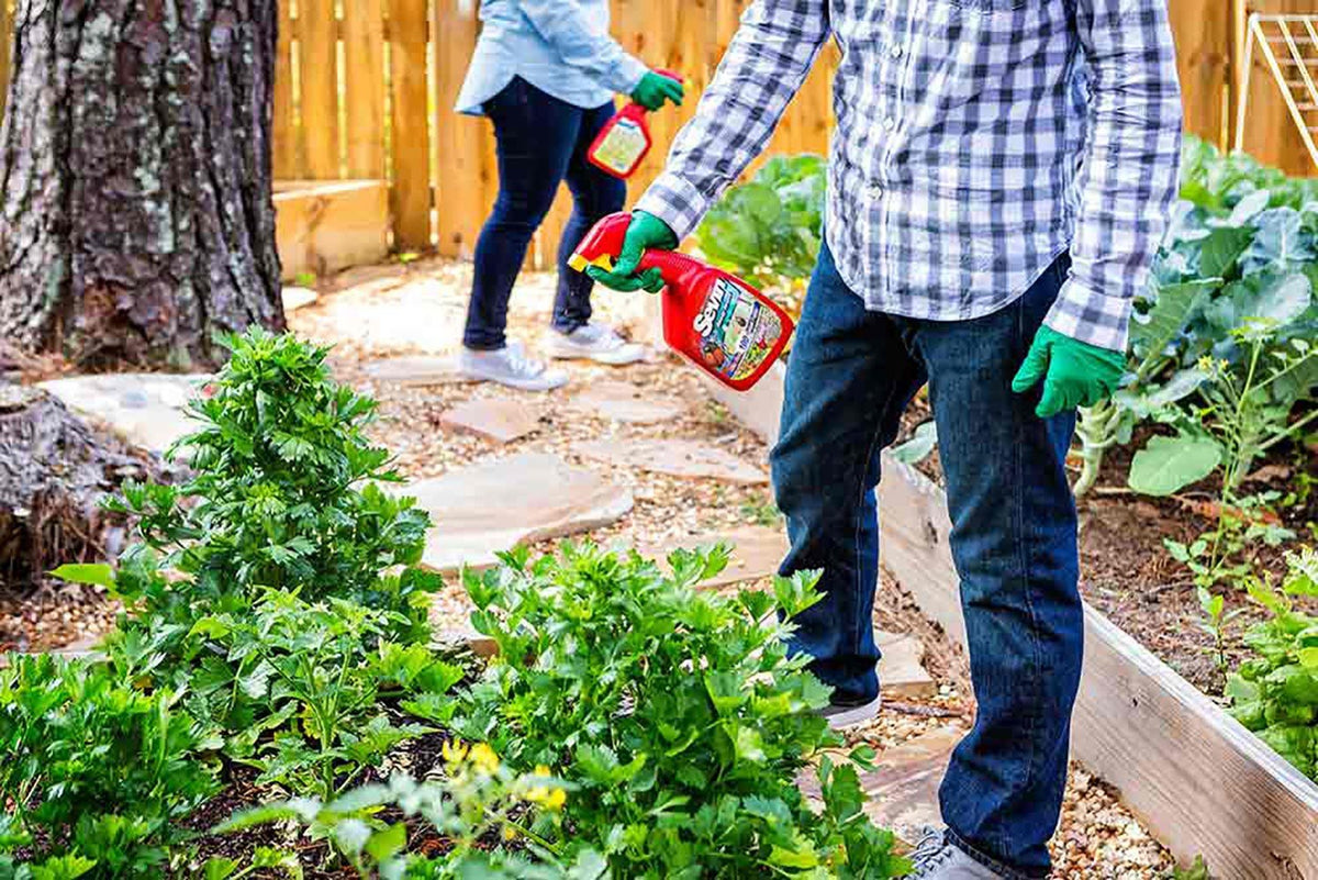 Sevin Ready-to-Use Insect Killer used around home perimeter to deter pests.