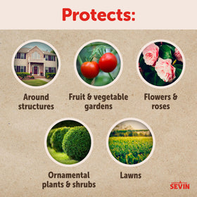 Sevin spray action close-up illustrating fast pest knockdown on contact.