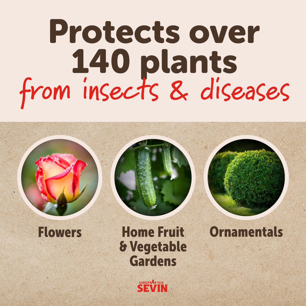 Sevin sulfur dust on roses highlighting bloom protection.