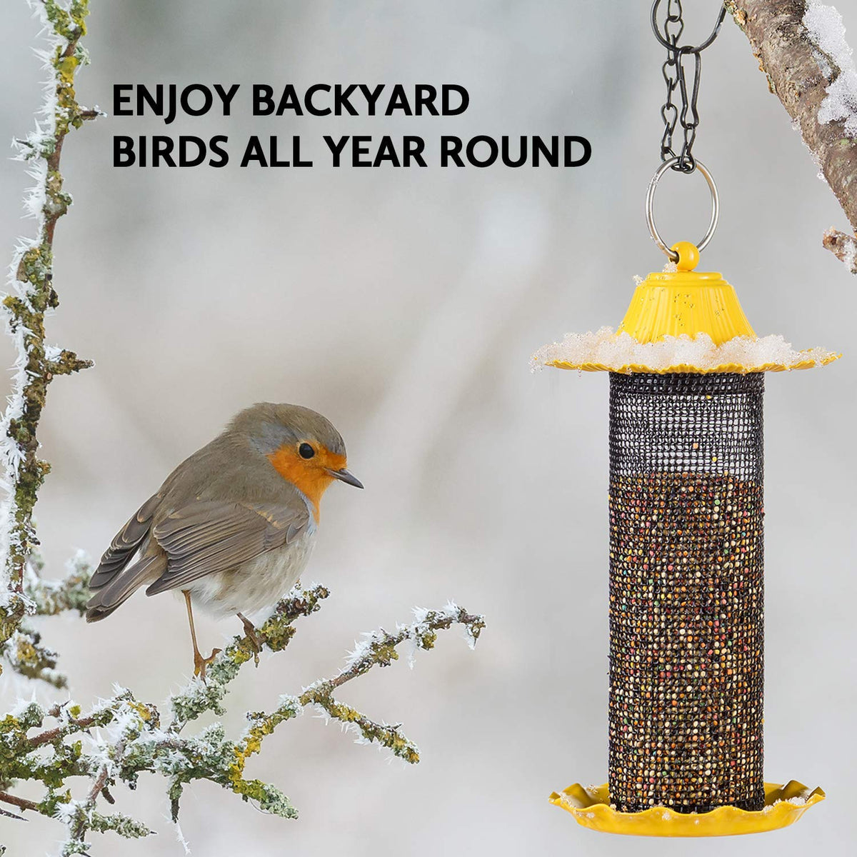SEWANTA Finch Bird Feeder yellow drainage holes help dry seed.