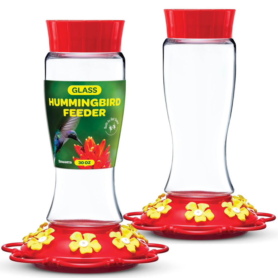 SEWANTA hummingbird feeder ant guard protects nectar from ants during outdoor feeding