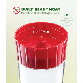 SEWANTA feeder ant moat helps deter ants and protect nectar
