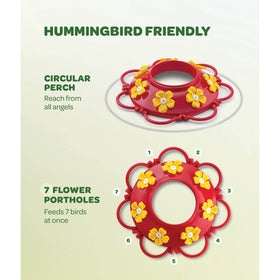 SEWANTA hummingbird feeder circular perch supports multiple hummingbirds at once