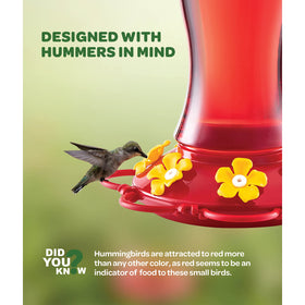SEWANTA hummingbird feeder wide-mouth design for quick filling and cleaning