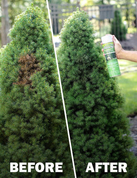 Seymour Renew Pristine outdoor yard context showing safe use on grass and shrubs