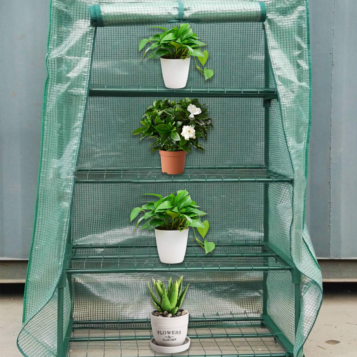 Sfcddtlg easy-storage greenhouse cover folds compactly after use.