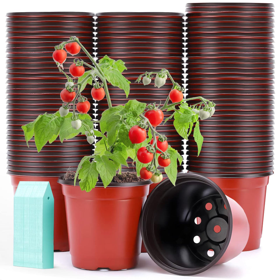 Sfee 4-inch nursery pots for seed starting and transplanting.