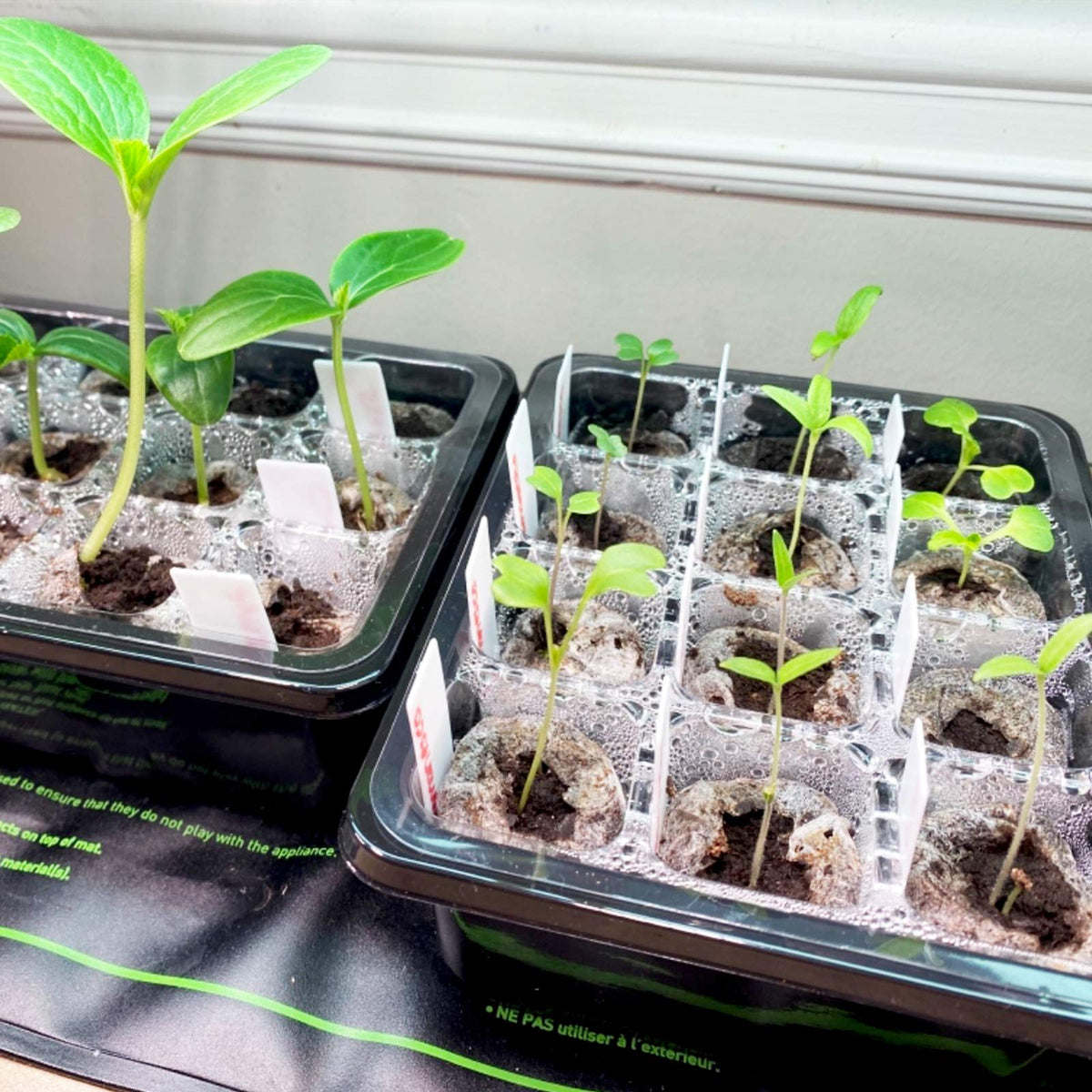 Sfee compact stackable seed trays save space in small gardens.
