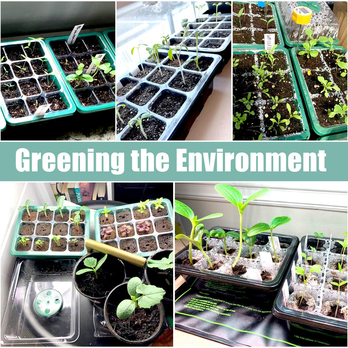 Sfee seed starter kit gift set for home gardeners