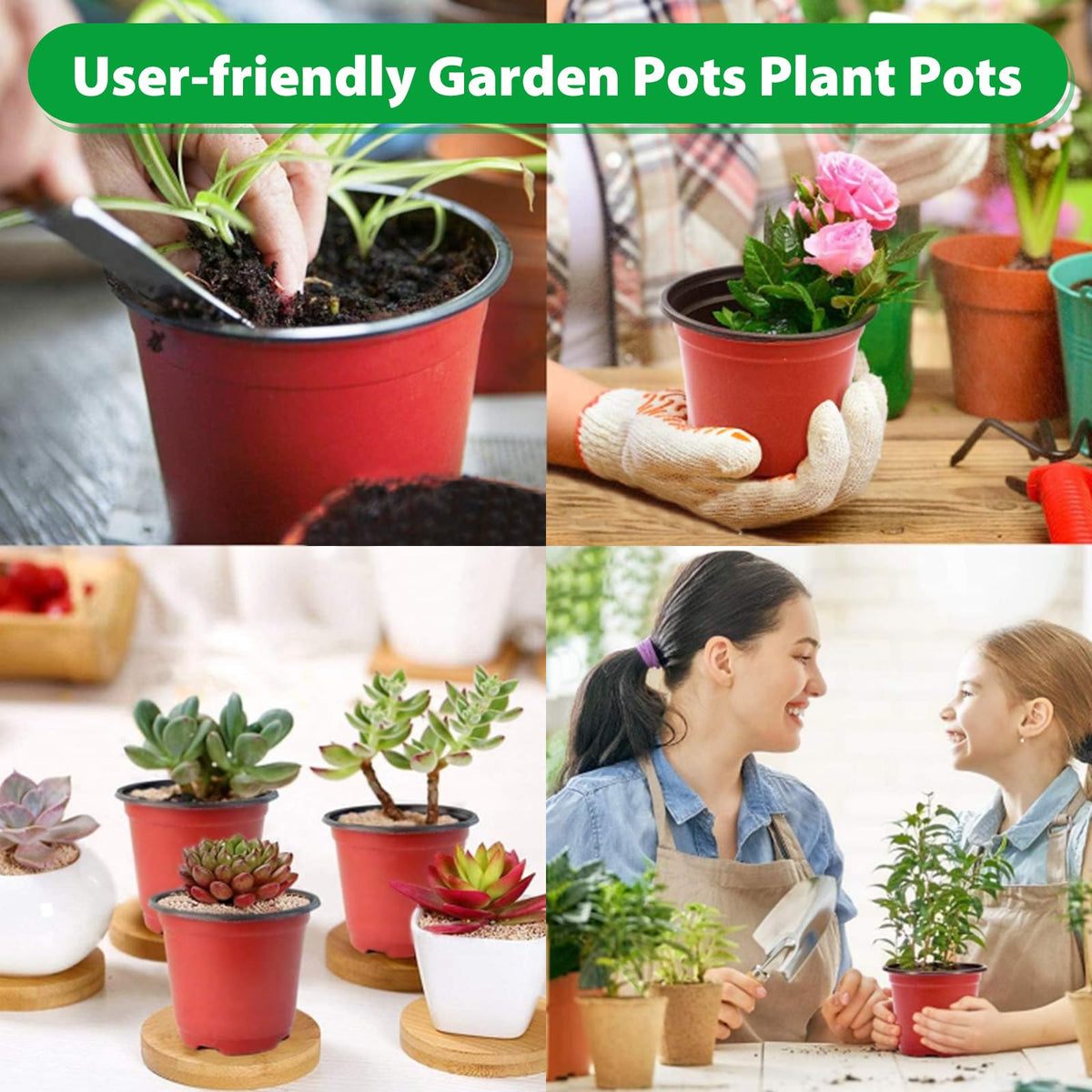 Sfee multi-season planting for flowers, herbs, and vegetables.
