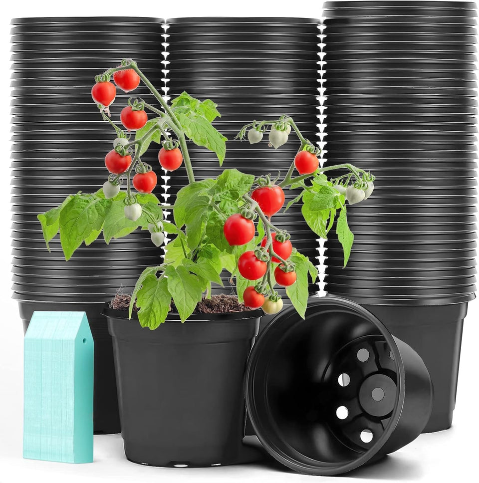 Sfee 4-inch nursery pot with bottom drainage holes supports healthy root growth.