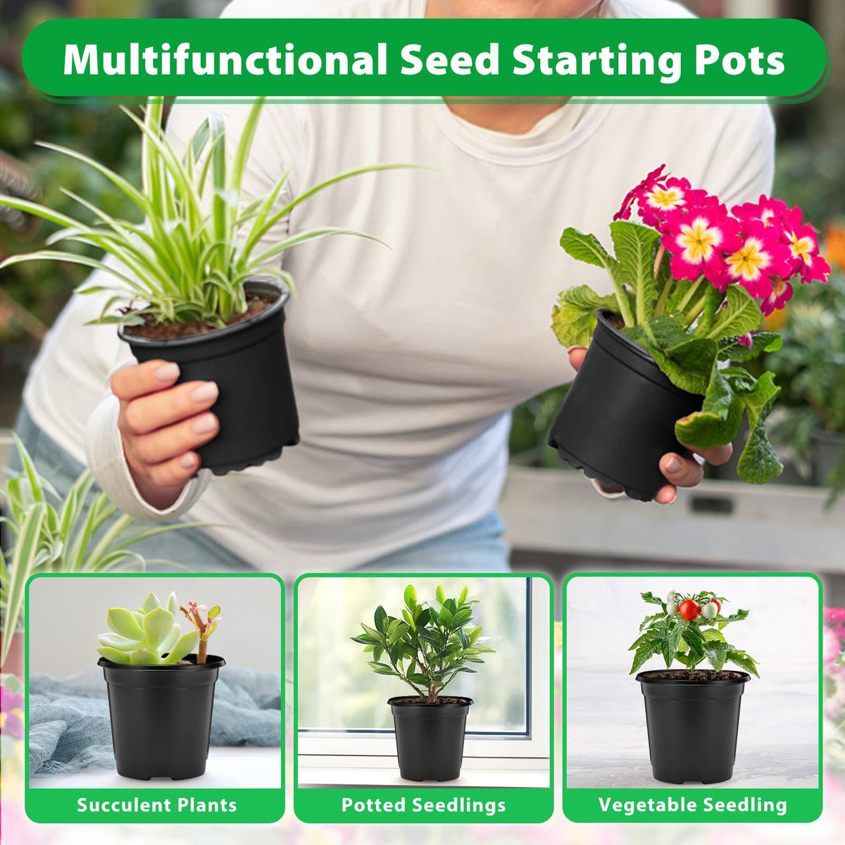 Sfee plastic nursery pot ideal for succulents and herbs.