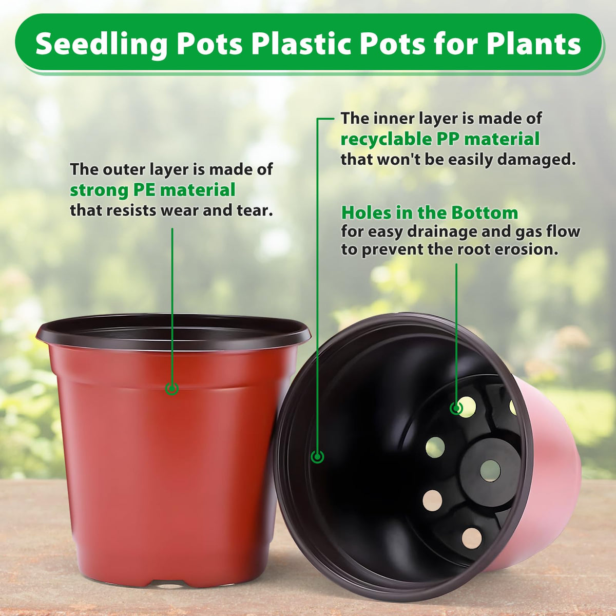 Sfee seedling propagation pots ideal for cuttings and young plants.