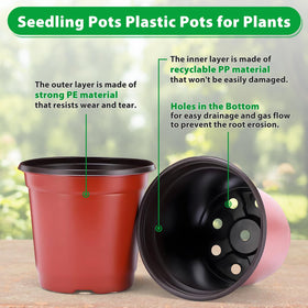 Sfee seedling propagation pots ideal for cuttings and young plants.