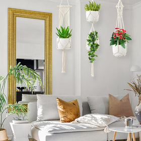 SFENNGPET ceiling hook setup for versatile plant display