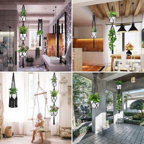 SFENNGPET easy-installation hanger for fast plant display setup.