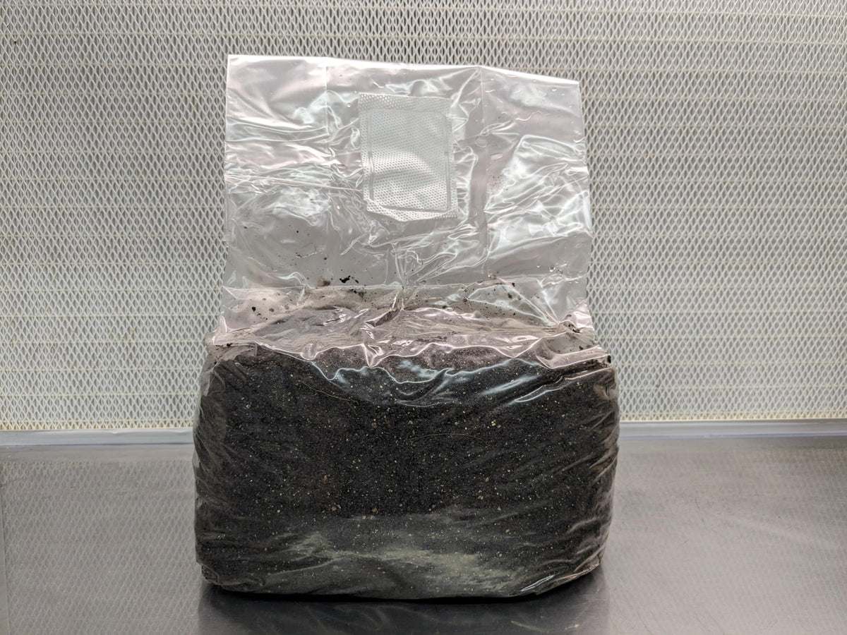 SGM Labs Substrate monotub setup image shows easy-to-use, ready-to-inoculate bag.