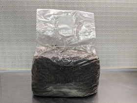 SGM Labs Substrate monotub setup image shows easy-to-use, ready-to-inoculate bag.