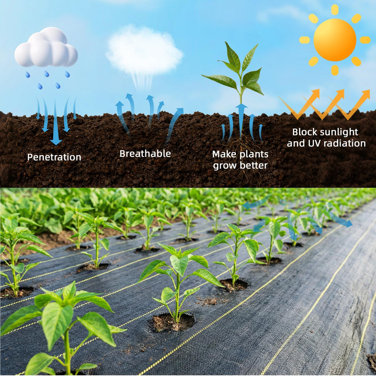Shade&Beyond breathable fabric blocks sun while allowing airflow for healthy soil.