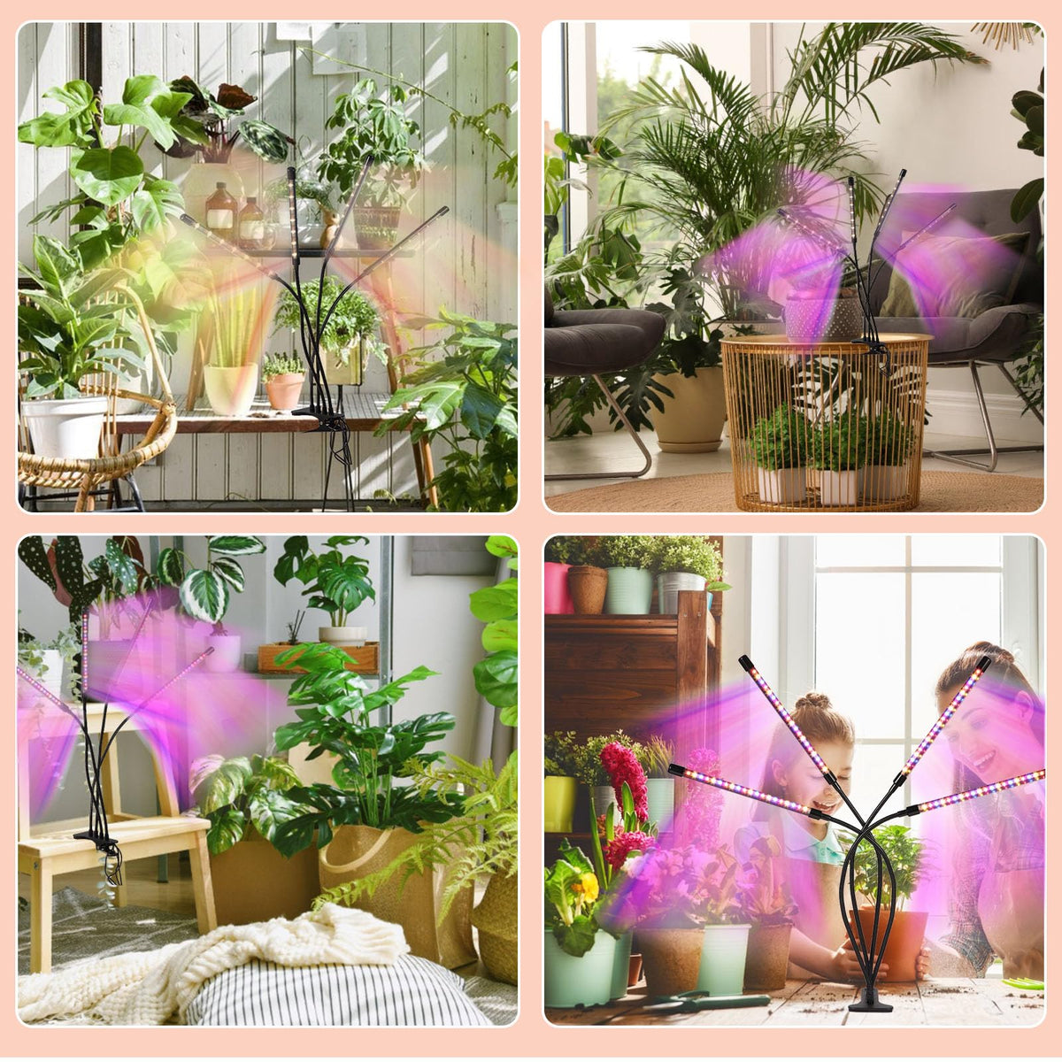 Shalaker grow lights ideal for placing on a shelf or desk.