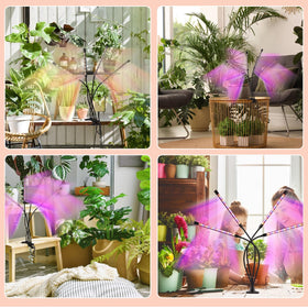 Shalaker grow lights ideal for placing on a shelf or desk.