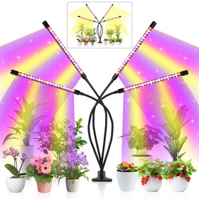 Shalaker grow lights full spectrum 80 LED supports seedling growth.
