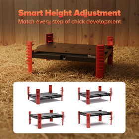 Shaledig 200W chick plate with clear indicator lights for quick status checks.