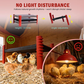 Shaledig dust-cover on brooder plate eases cleaning in busy coops.