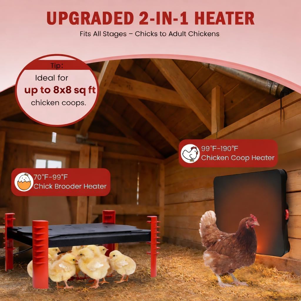 Shaledig 200W brooder plate installed in coop demonstrates safe floor placement.