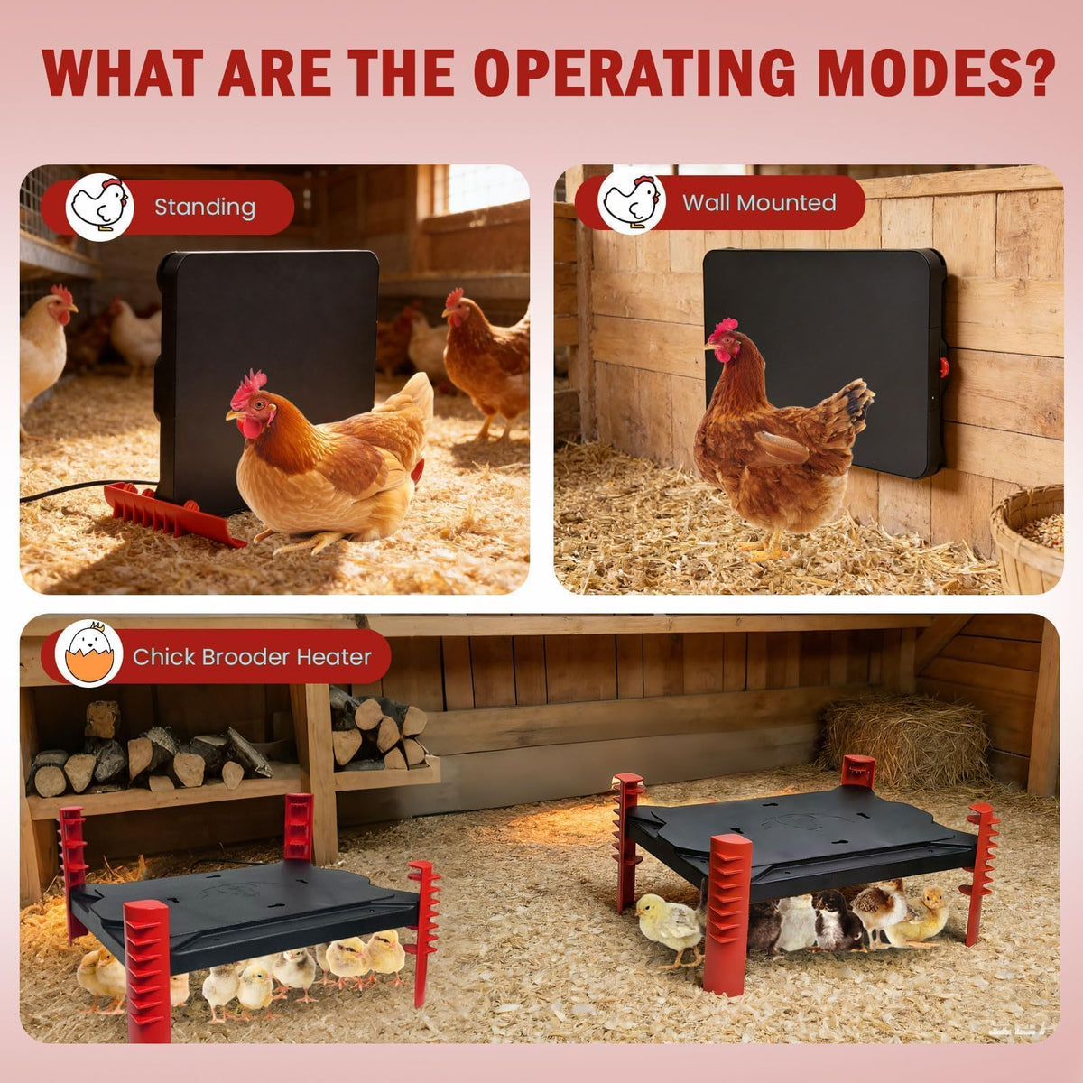 Shaledig 200W brooder plate side view highlights adjustable height for growing chicks.