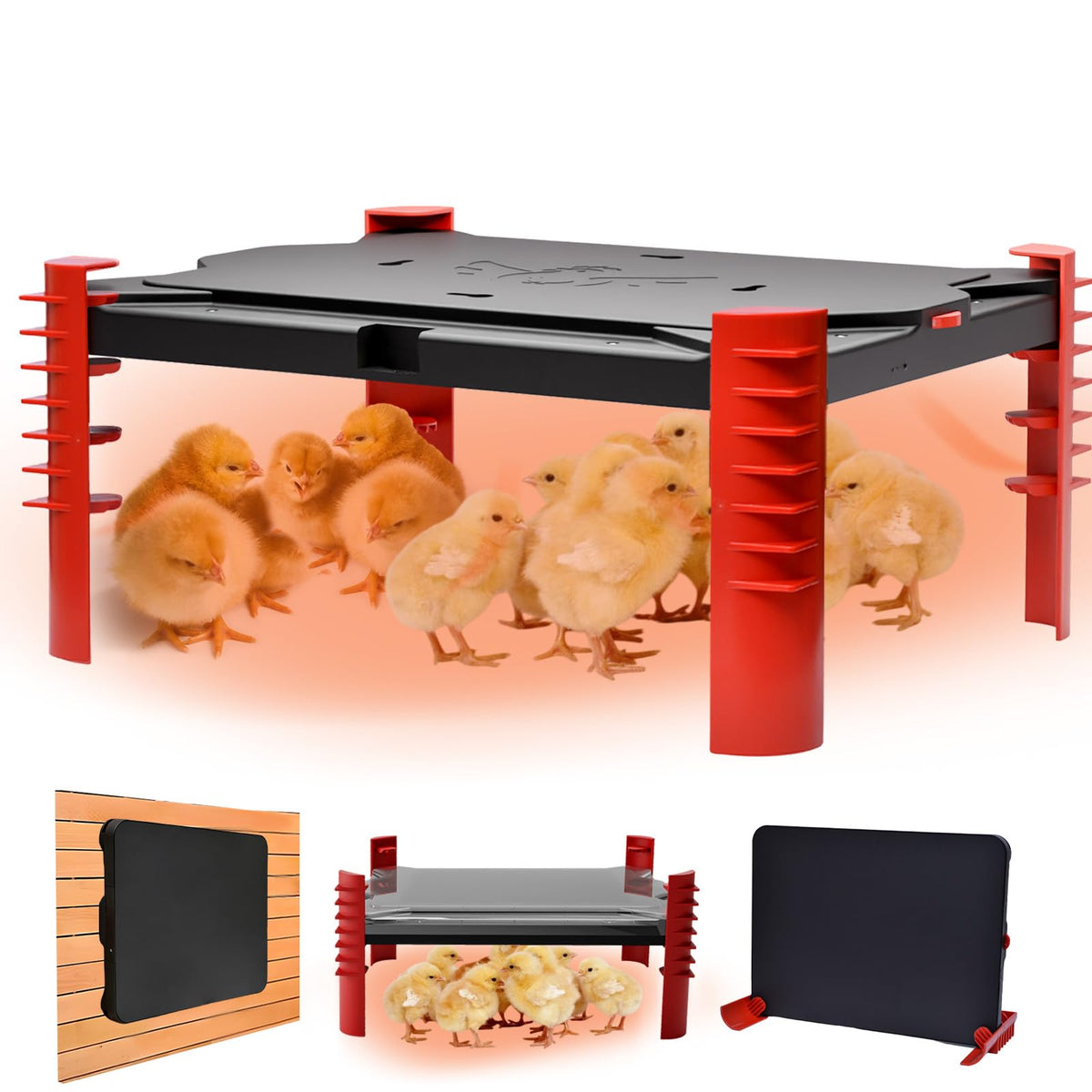 Shaledig 200W chick brooder plate top view shows even radiant heat coverage.