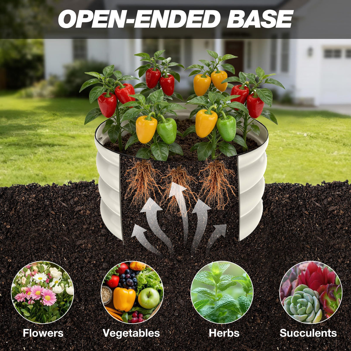 SHALL mini disk seeder for precise soil coverage and sowing