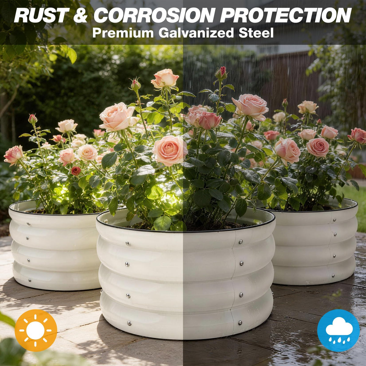 SHALL mini seeding transplanters enable easy root placement